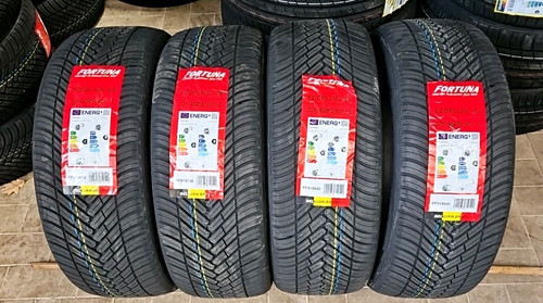 Gomme 225 r18 - r18, 95y